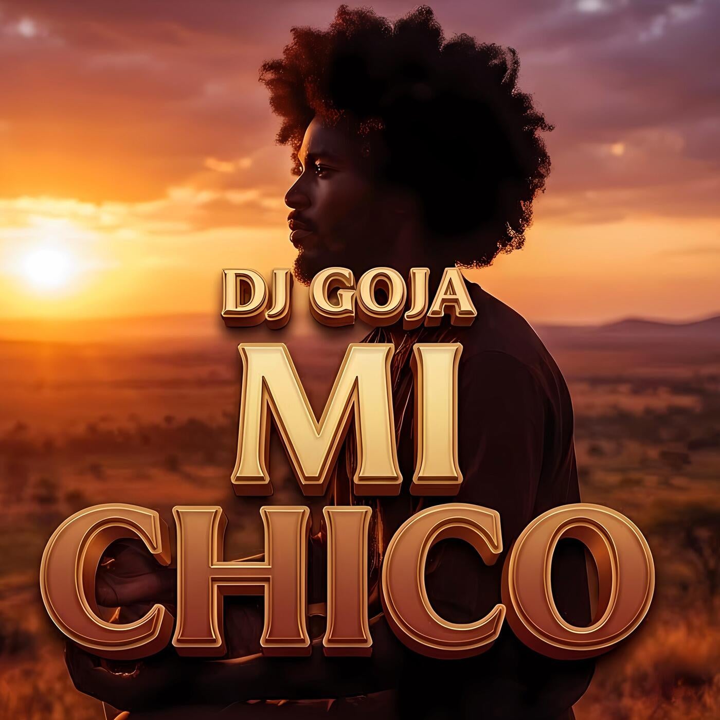 Cover - Dj Goja - Mi Chico (Original Mix) Promo tools