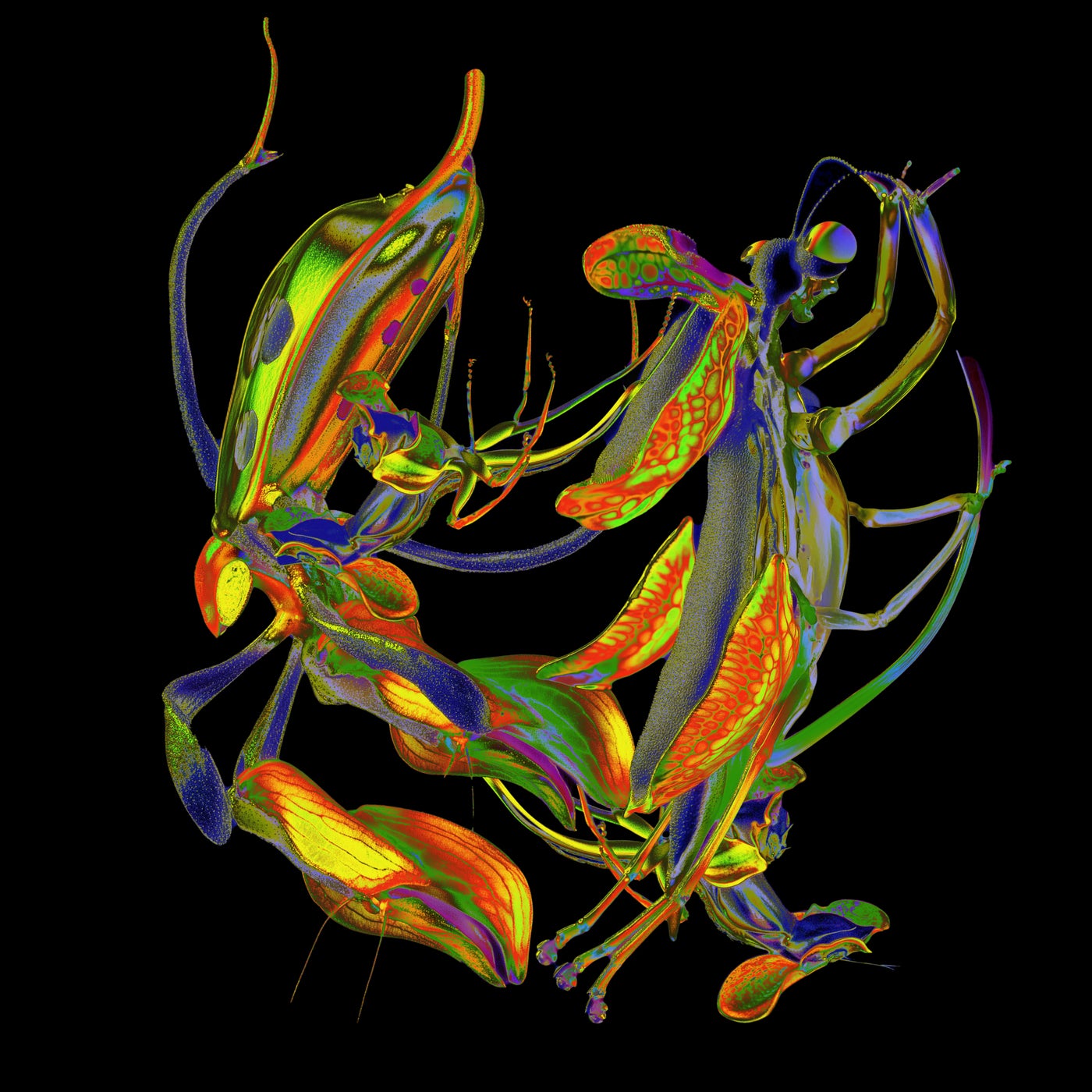Cover - DJ Nobu - Metta (Original Mix) Promo tools