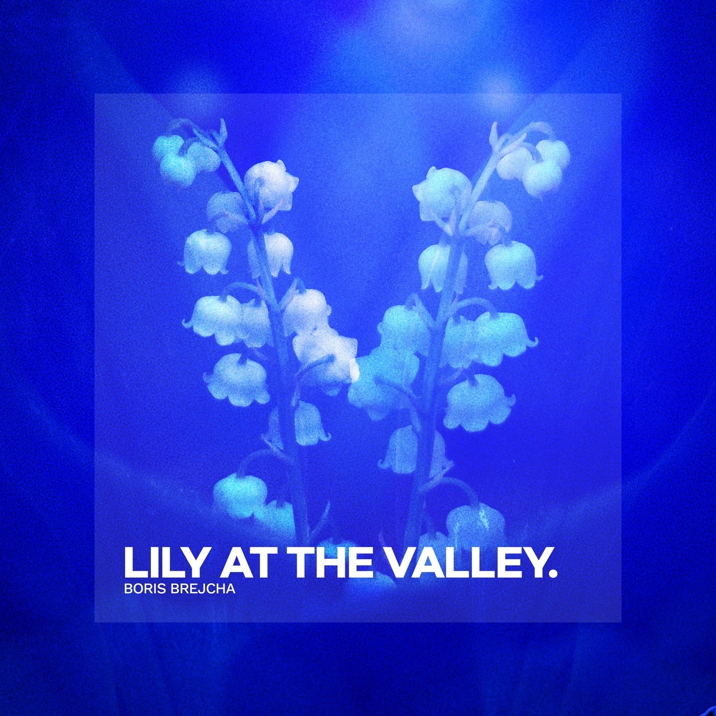 Cover - Boris Brejcha - Lily At The Valley (Original Mix) Promo tools