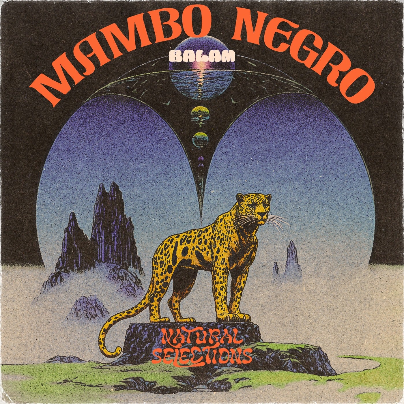 Cover - Balam - Mambo Negro (Roy Heyman Remix) Promo tools