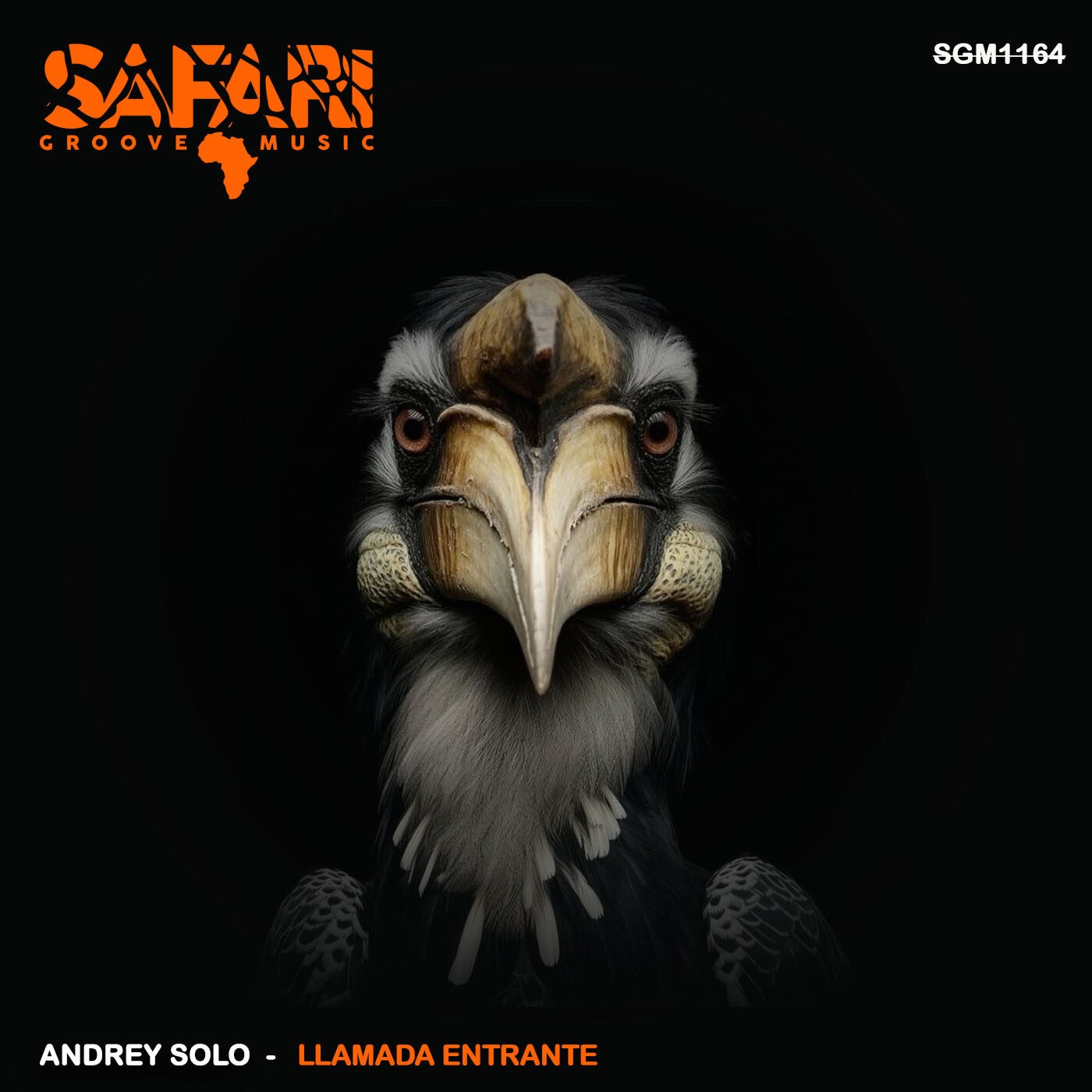 Cover - Andrey Solo - WTF (Original Mix) Promo tools