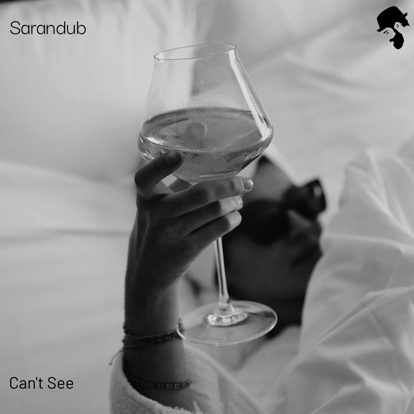 Cover - Sarandub - Can't See (Original Mix) Promo tools
