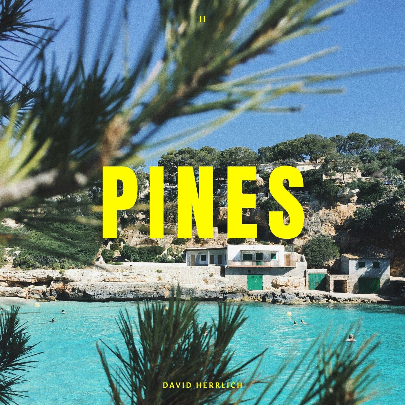 Cover - David Herrlich - Pines (Extended) Promo tools