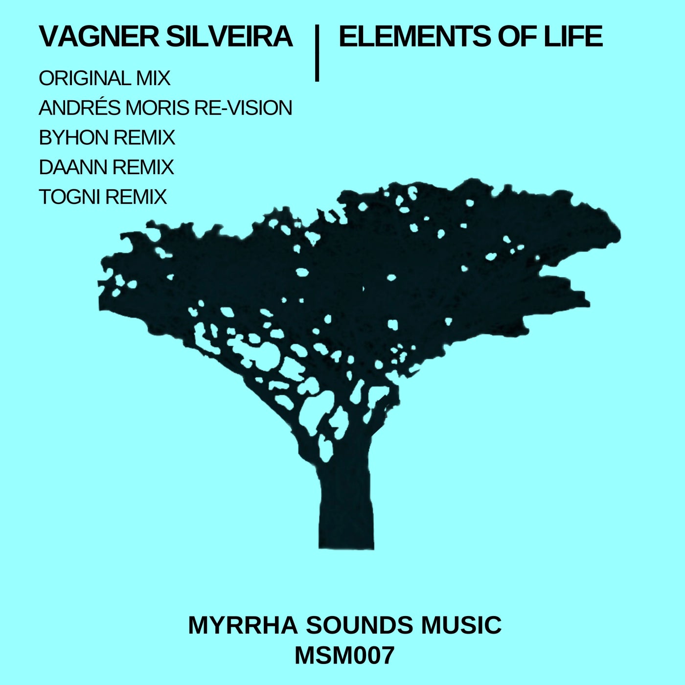 Cover - Vagner Silveira - Elements of Life (Togni Remix) Promo tools