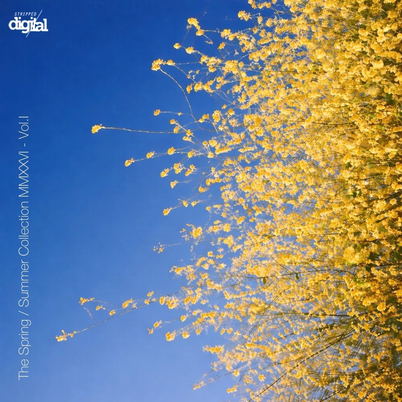 Cover - Steve Foulds - Bangkok (Alfonso Muchacho Remix) Promo tools