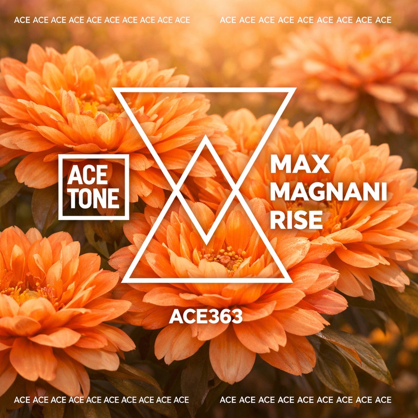 Cover - Max Magnani - Rise (Original Mix) Promo tools