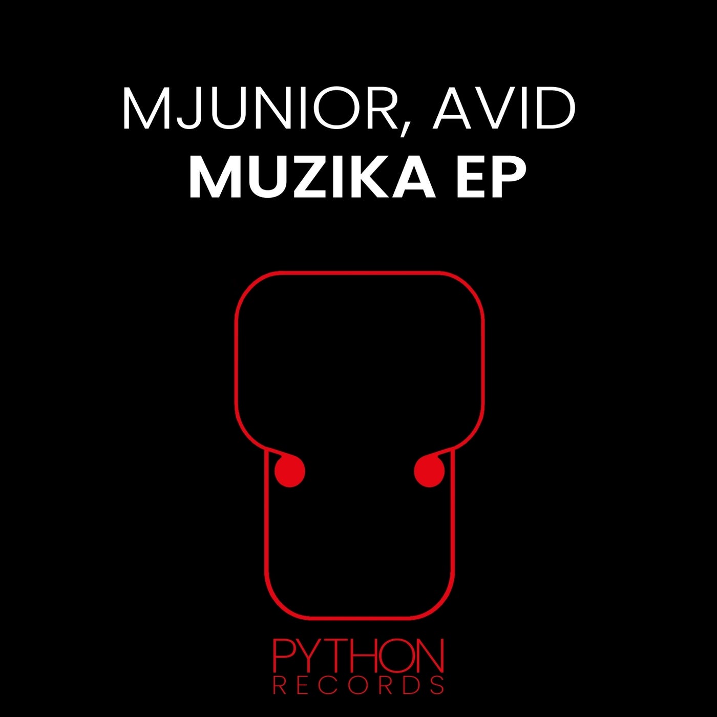 Cover - Avid, Mjunior - Ngizula (Extended Mix) Promo tools