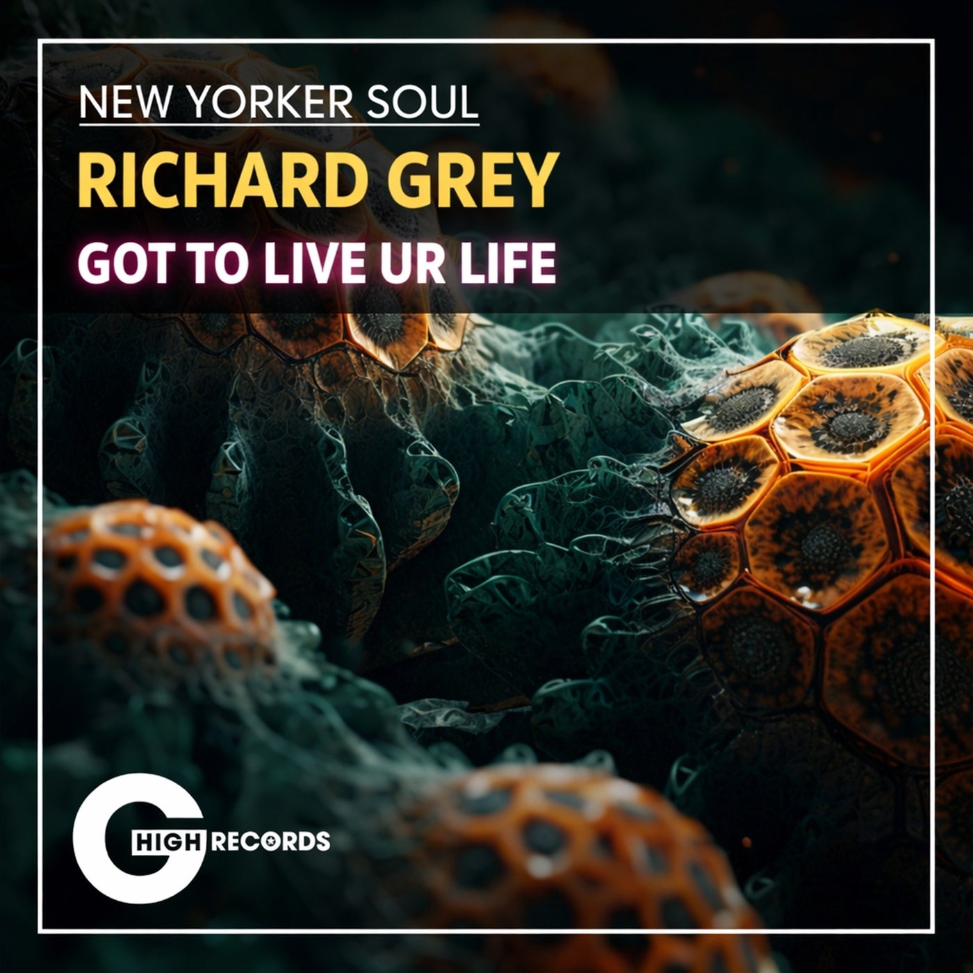 Cover - Richard Grey, New Yorker Soul - Got To Live Ur Life (Original Mix) Promo tools