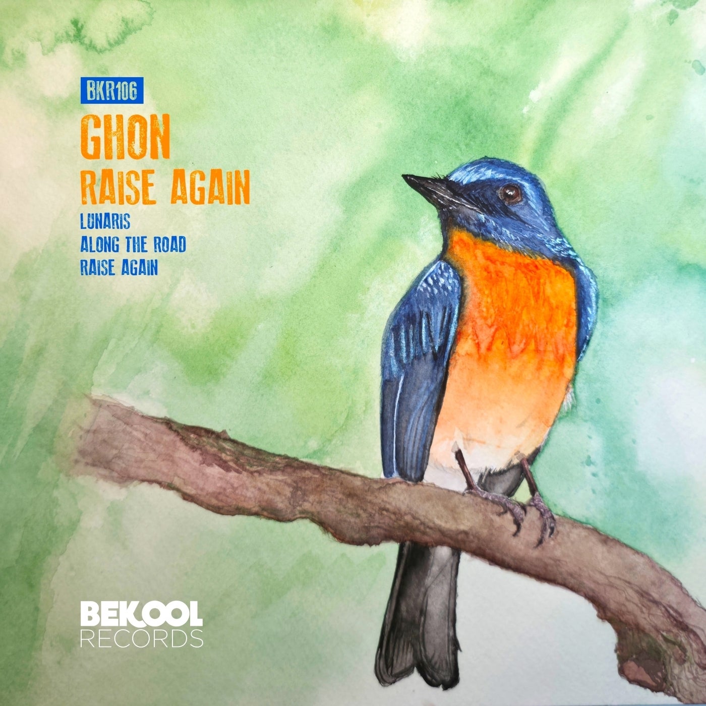 Cover - Ghon - Raise Again (Original Mix) Promo tools