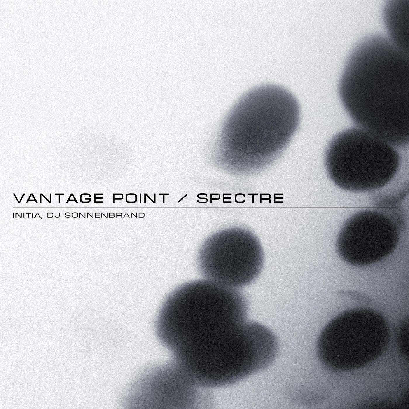 Cover - Initia, DJ Sonnenbrand - Vantage Point (Original Mix) Promo tools