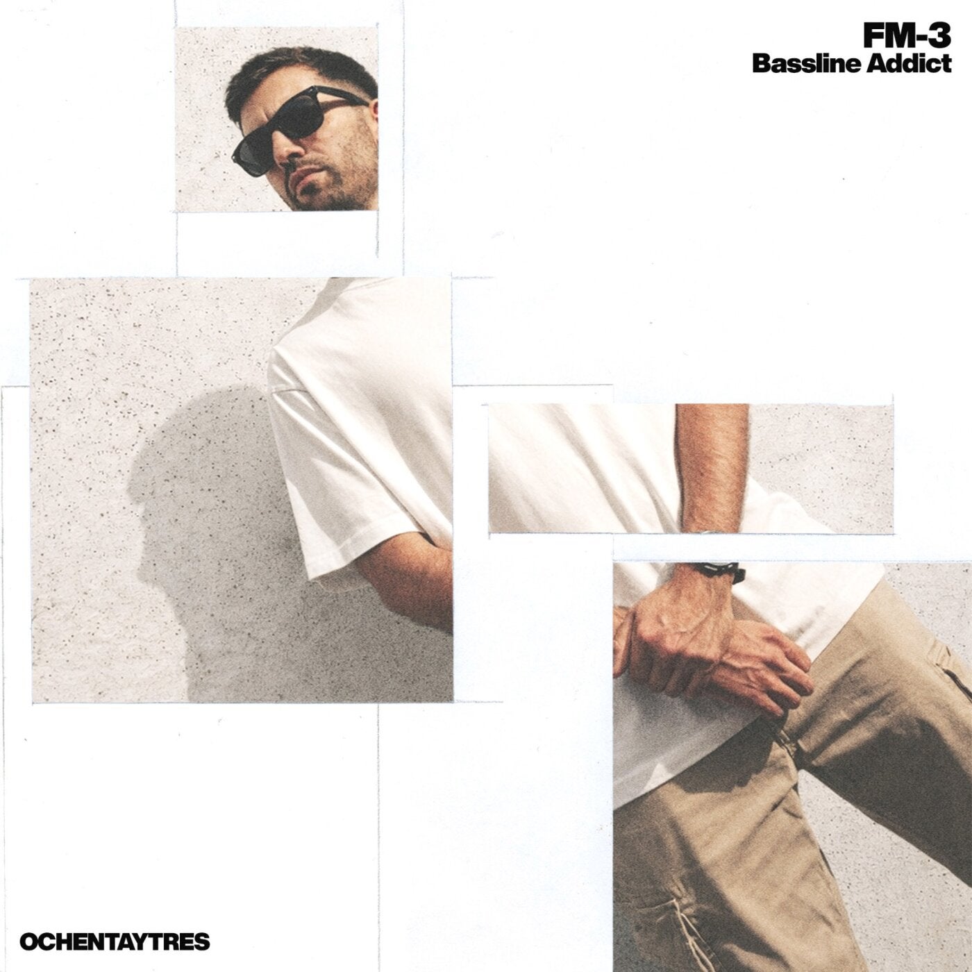 Cover - FM-3 - Bassline Addict (Original Mix) Promo tools