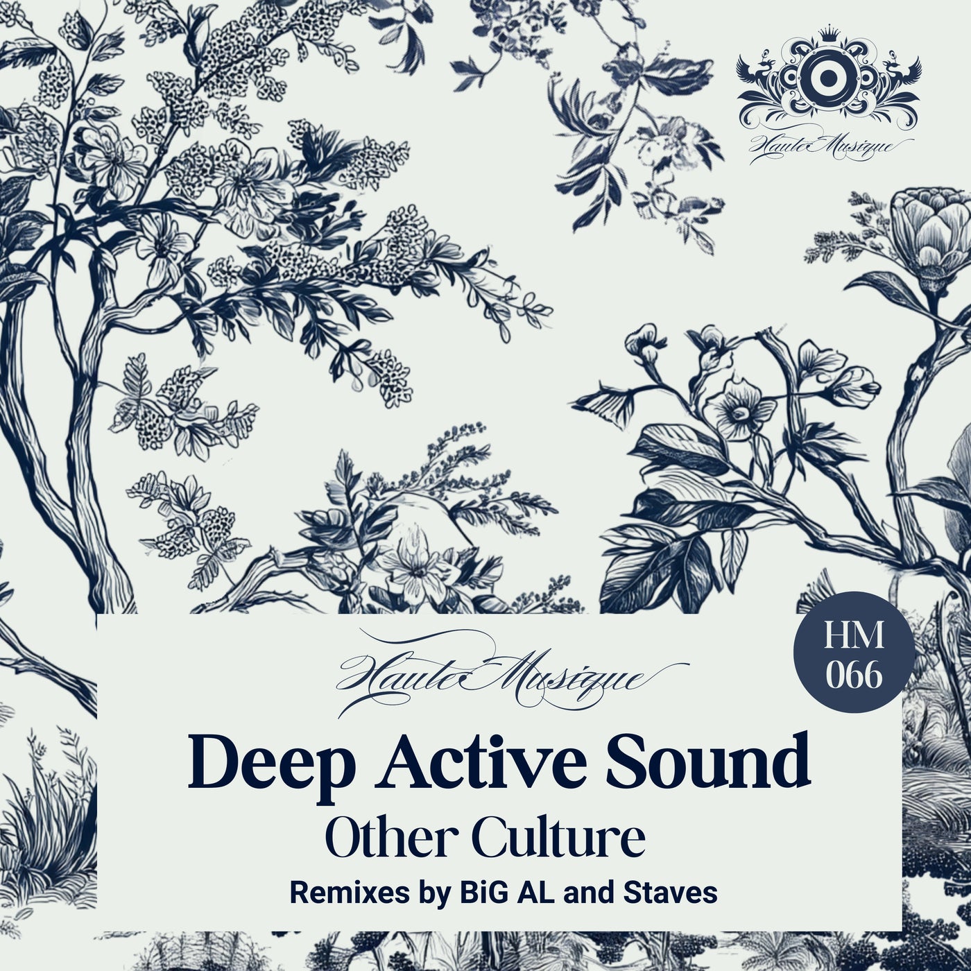 Cover - Deep Active Sound - Other Culture (BiG AL Remix) Promo tools