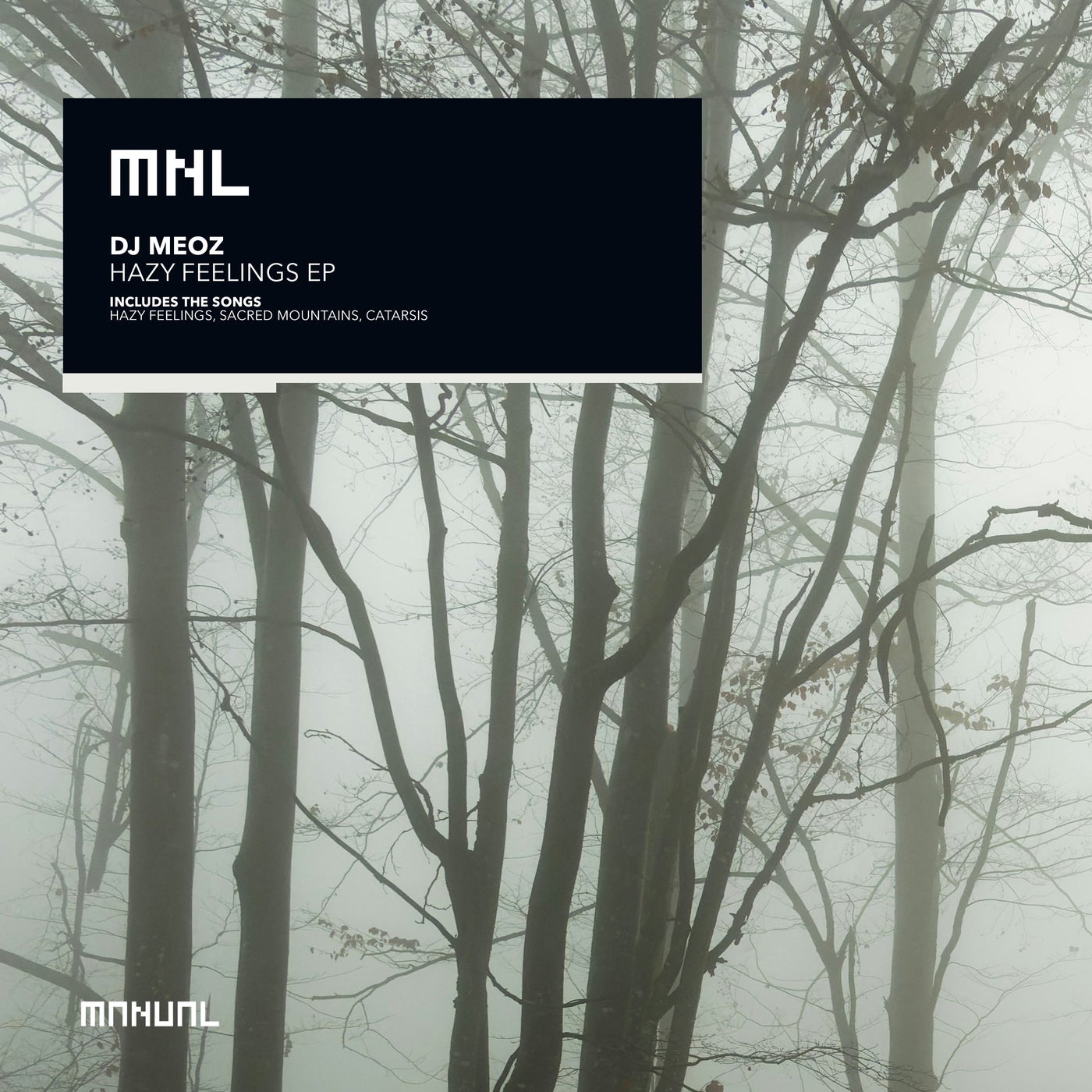 Cover - Dj Meoz - Catarsis (Original Mix) Promo tools