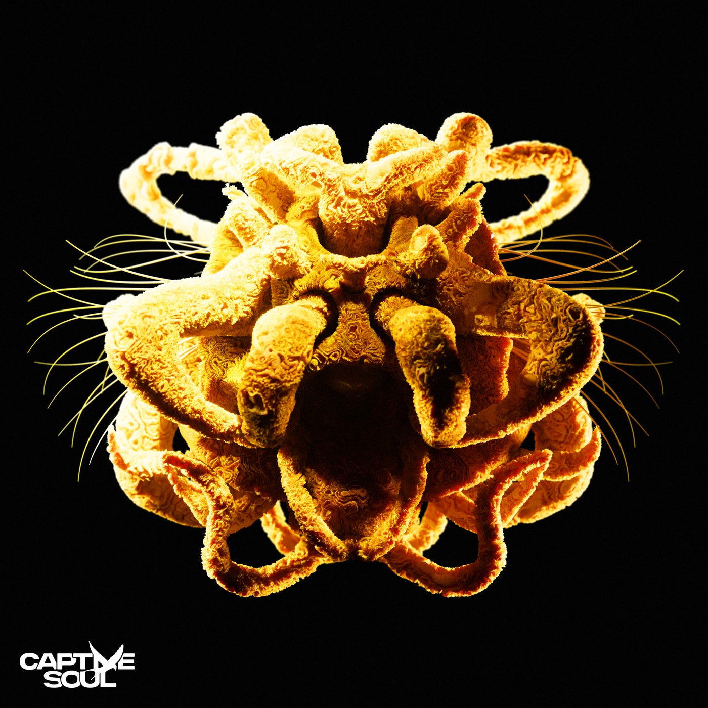 Cover - NURAN - Stay Close (Extended Mix) Promo tools