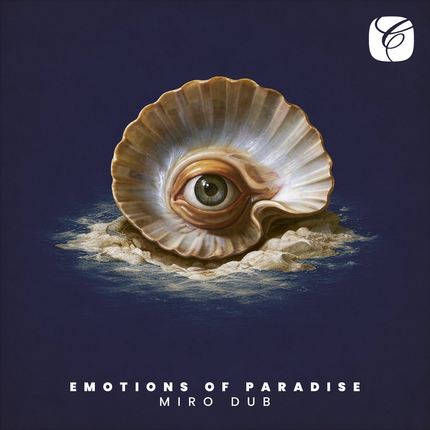 Cover - Miro, Mads Arp, Steen Thottrup - Emotions of Paradise feat. Steen Thottrup feat. Mads Arp (Original Mix) Promo tools