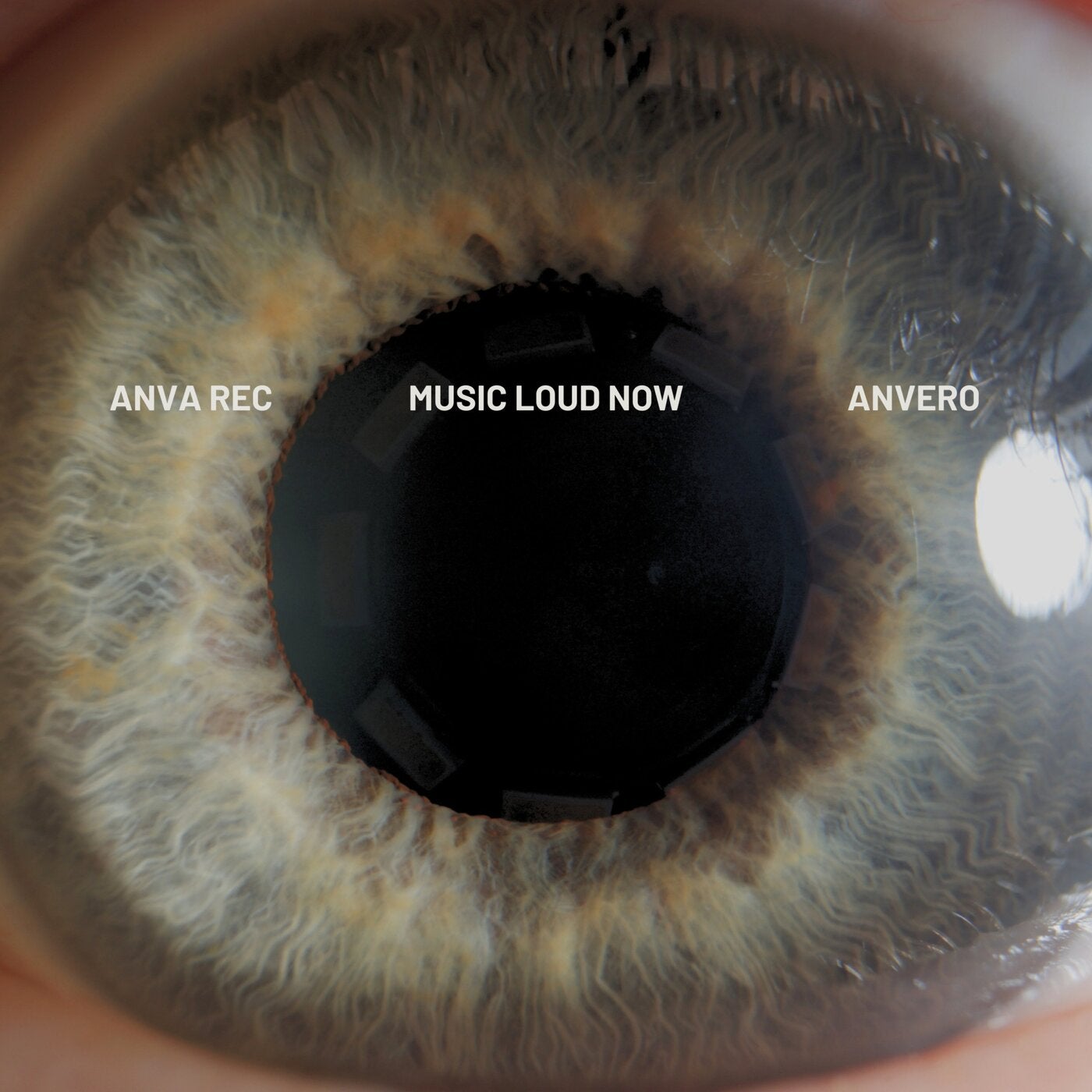 Cover - Anvero - Music Loud Now (Extended Mix) Promo tools