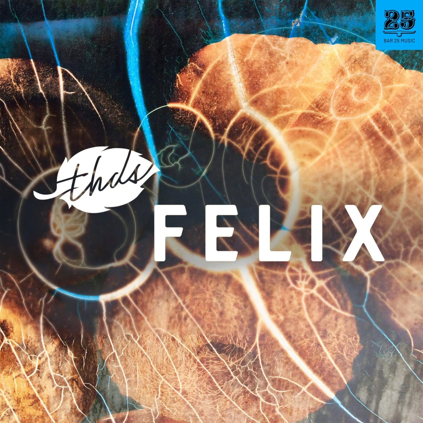Cover - thds - Fugo (Extended Mix) Promo tools