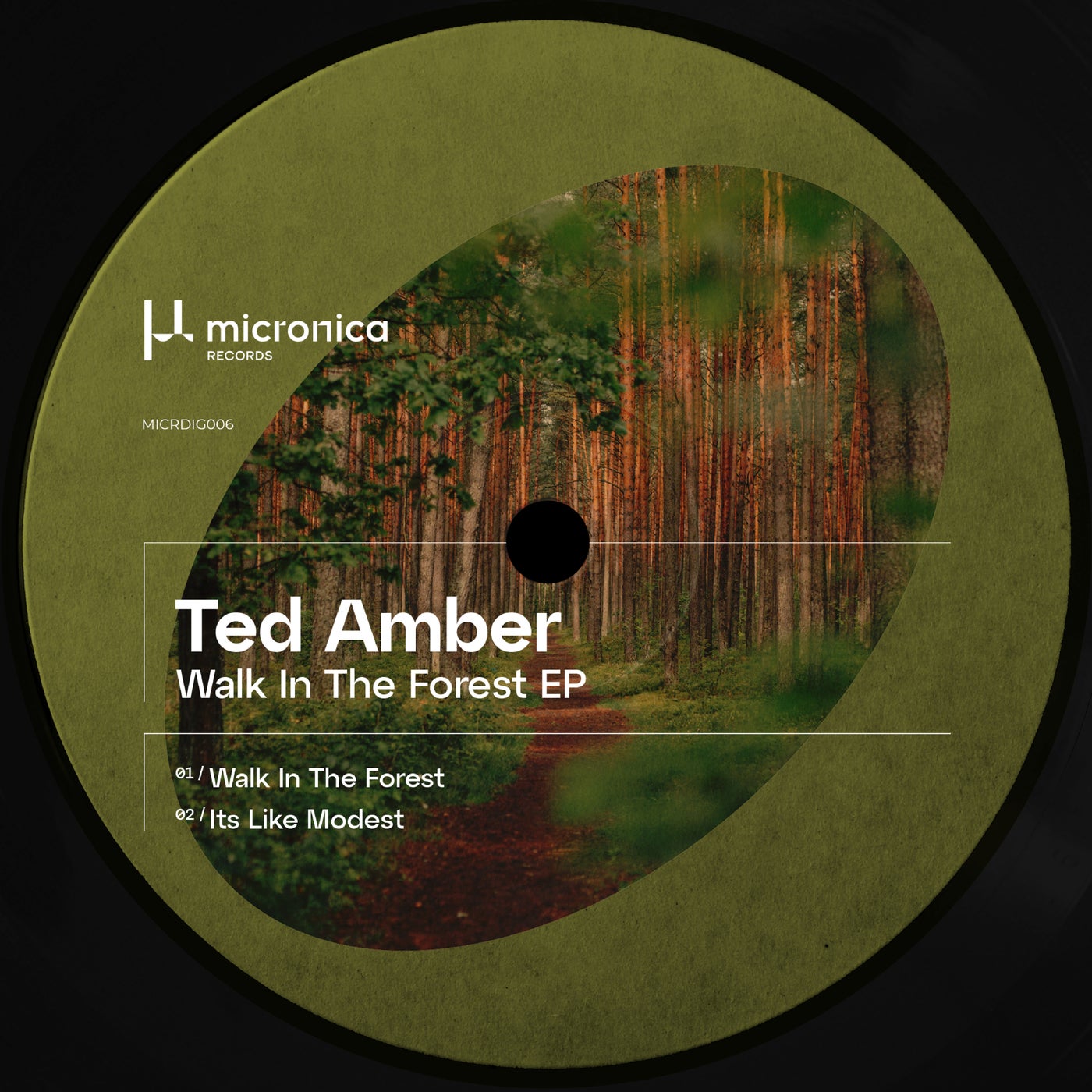 Cover - Ted Amber - Walk In The Forest (Original Mix) Promo tools