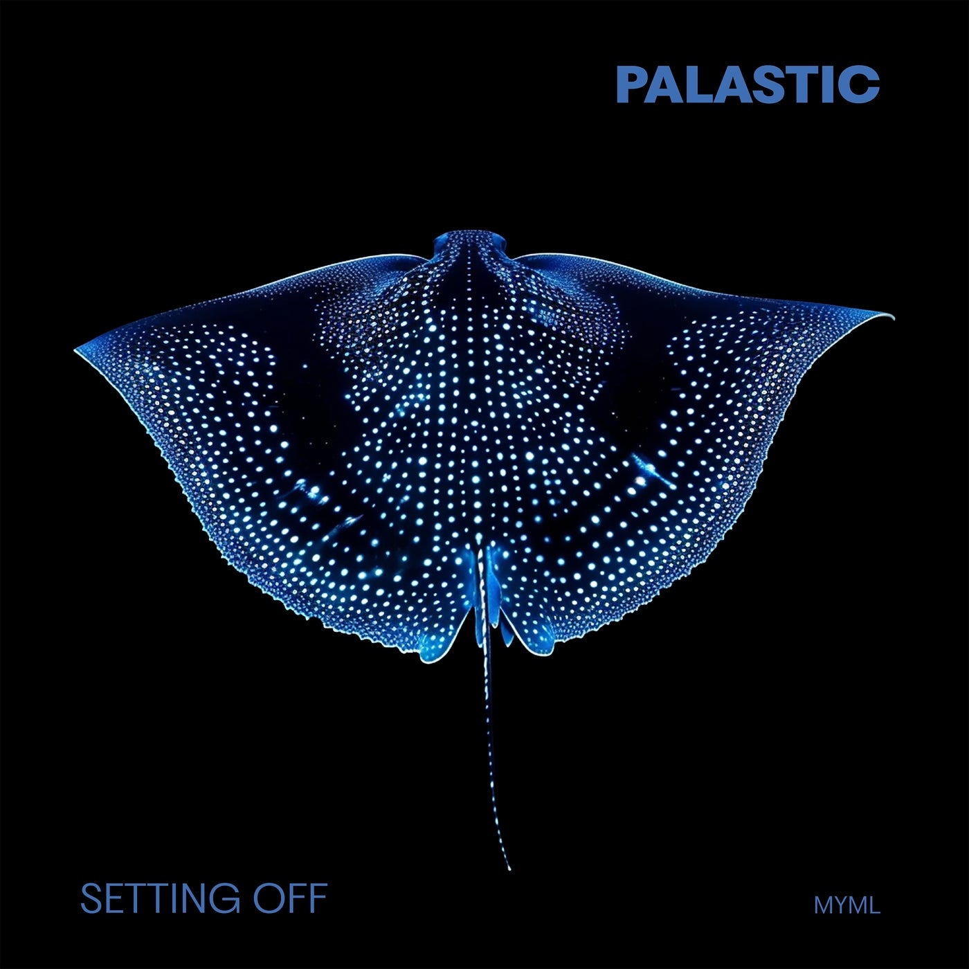 Cover - PALASTIC - Setting Off (Extended) Promo tools