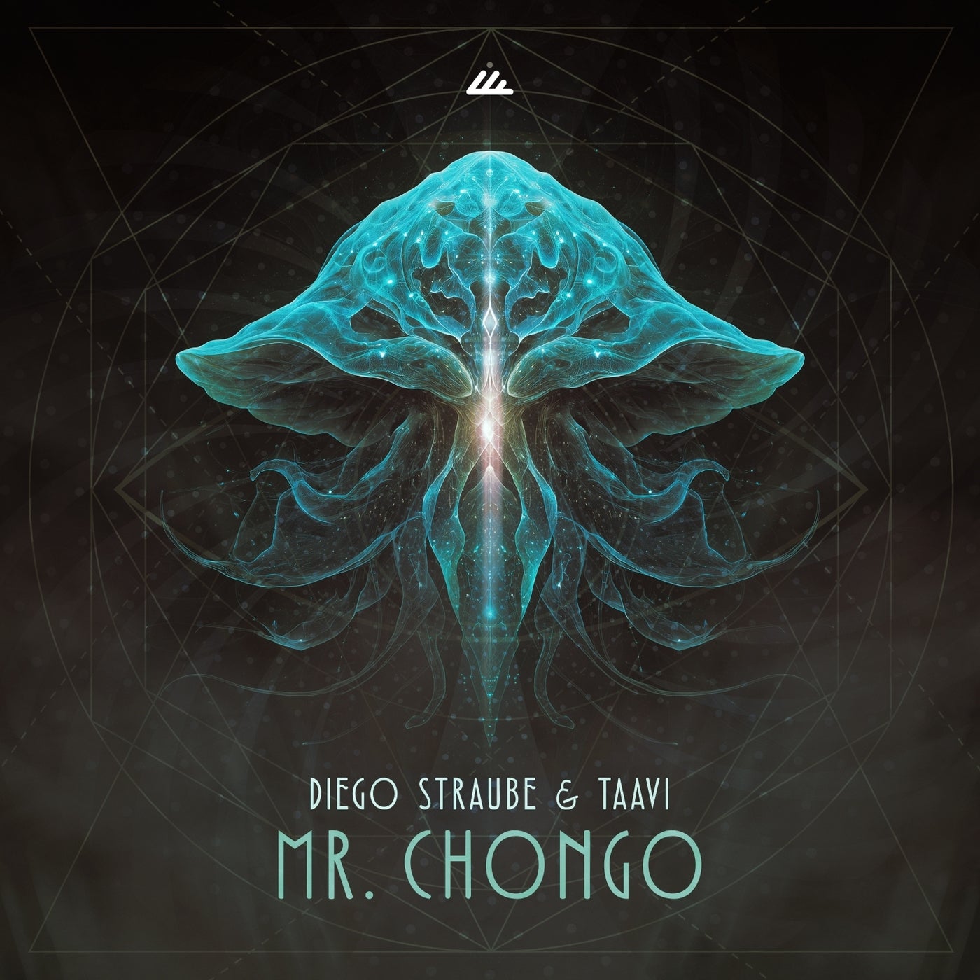Cover - Diego Straube, Taavi - Mr. Chongo (Original Mix) Promo tools