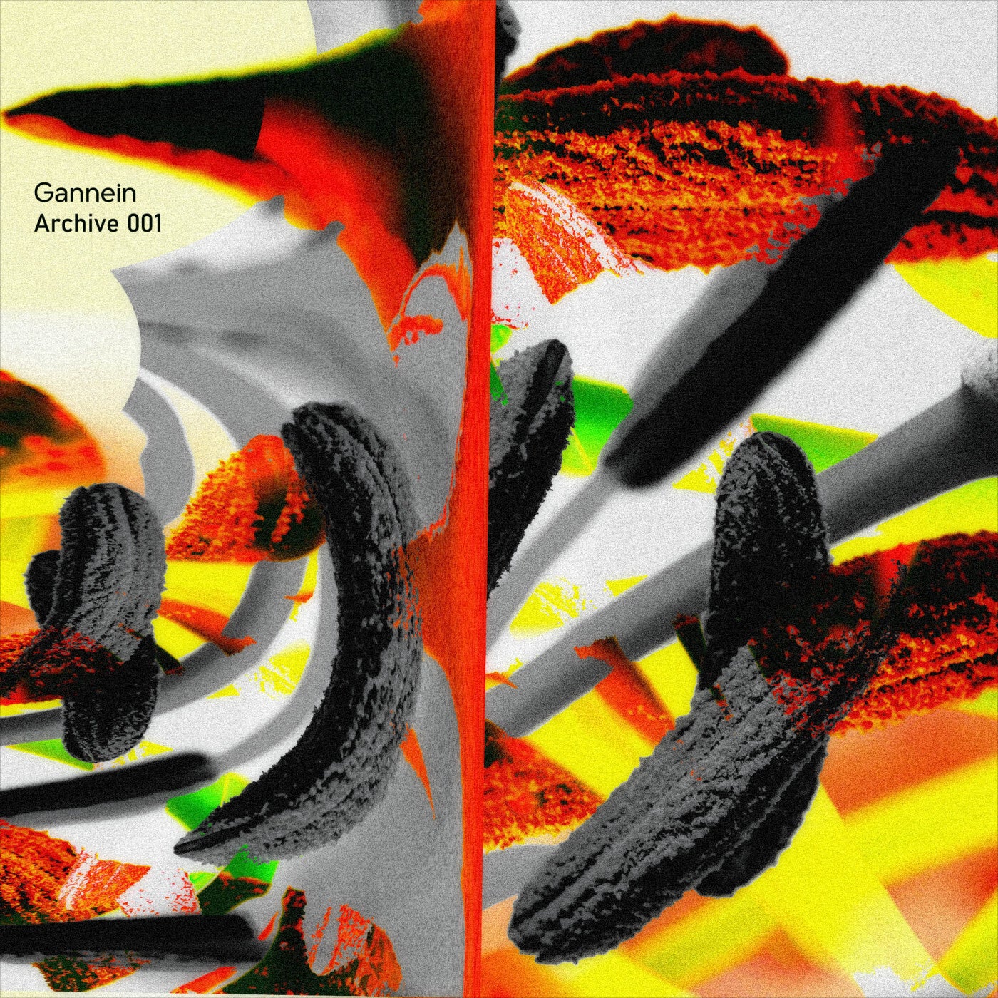 Cover - Gannein - Performative Cruelty (Original Mix) Promo tools