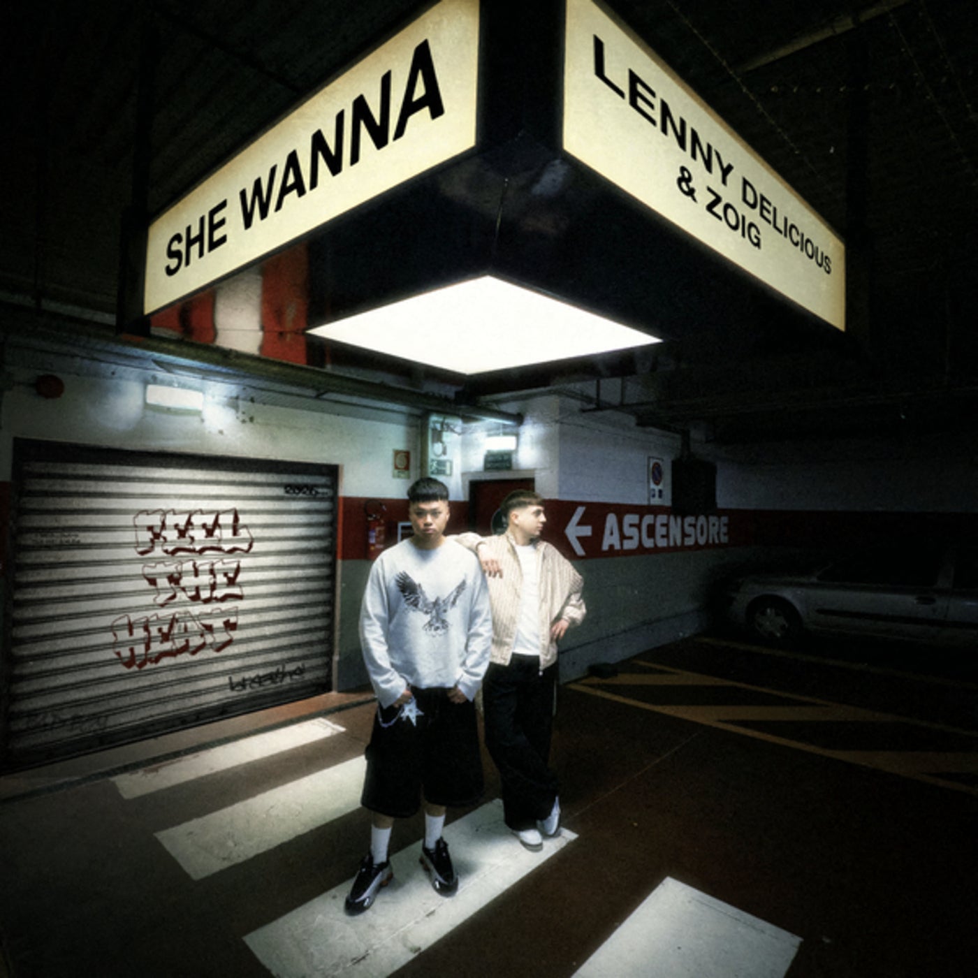 Cover - ZOIG, Lenny Delicious - She Wanna (Original Mix) Promo tools