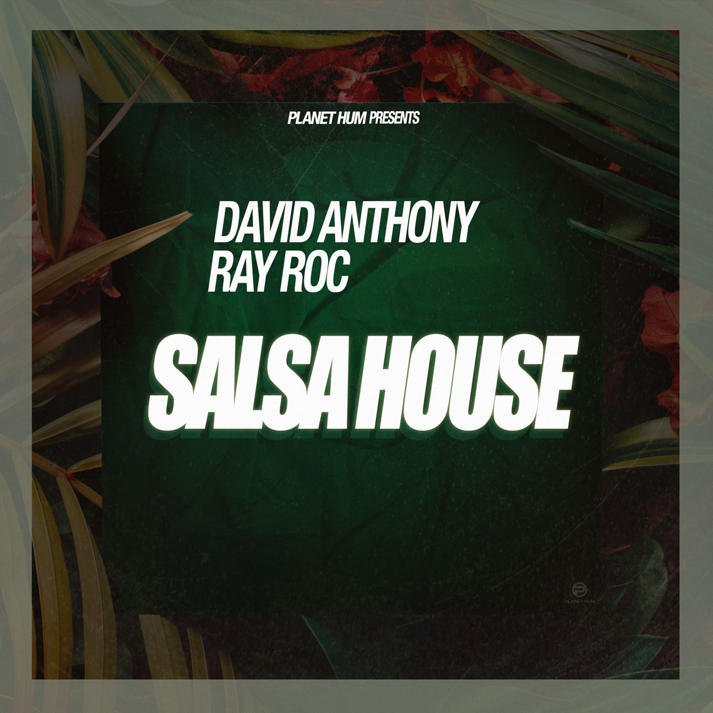 Cover - Ray Roc, David Anthony - Salsa House (Extended Mix) Promo tools