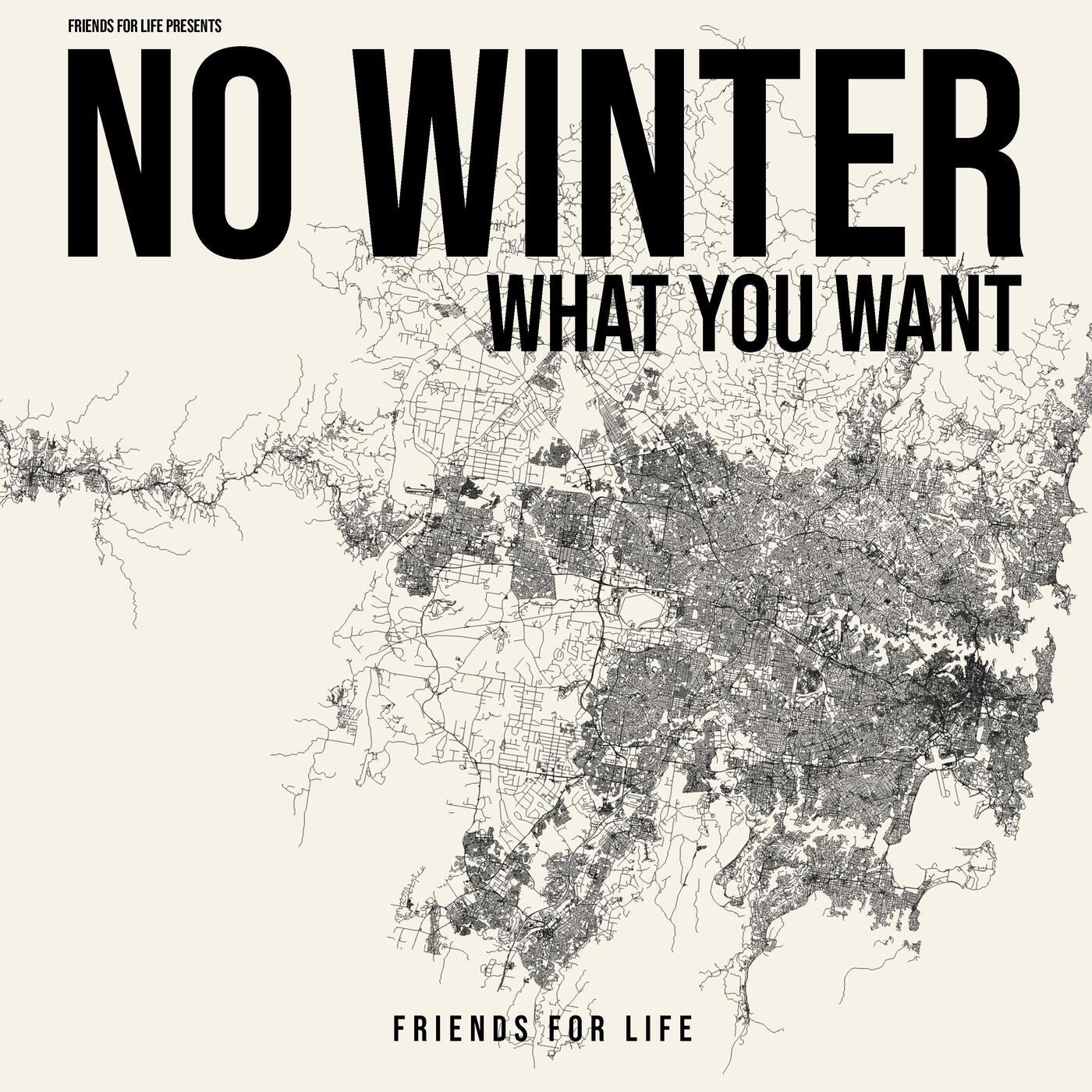 Cover - No Winter - What You Want (Extended Mix) Promo tools
