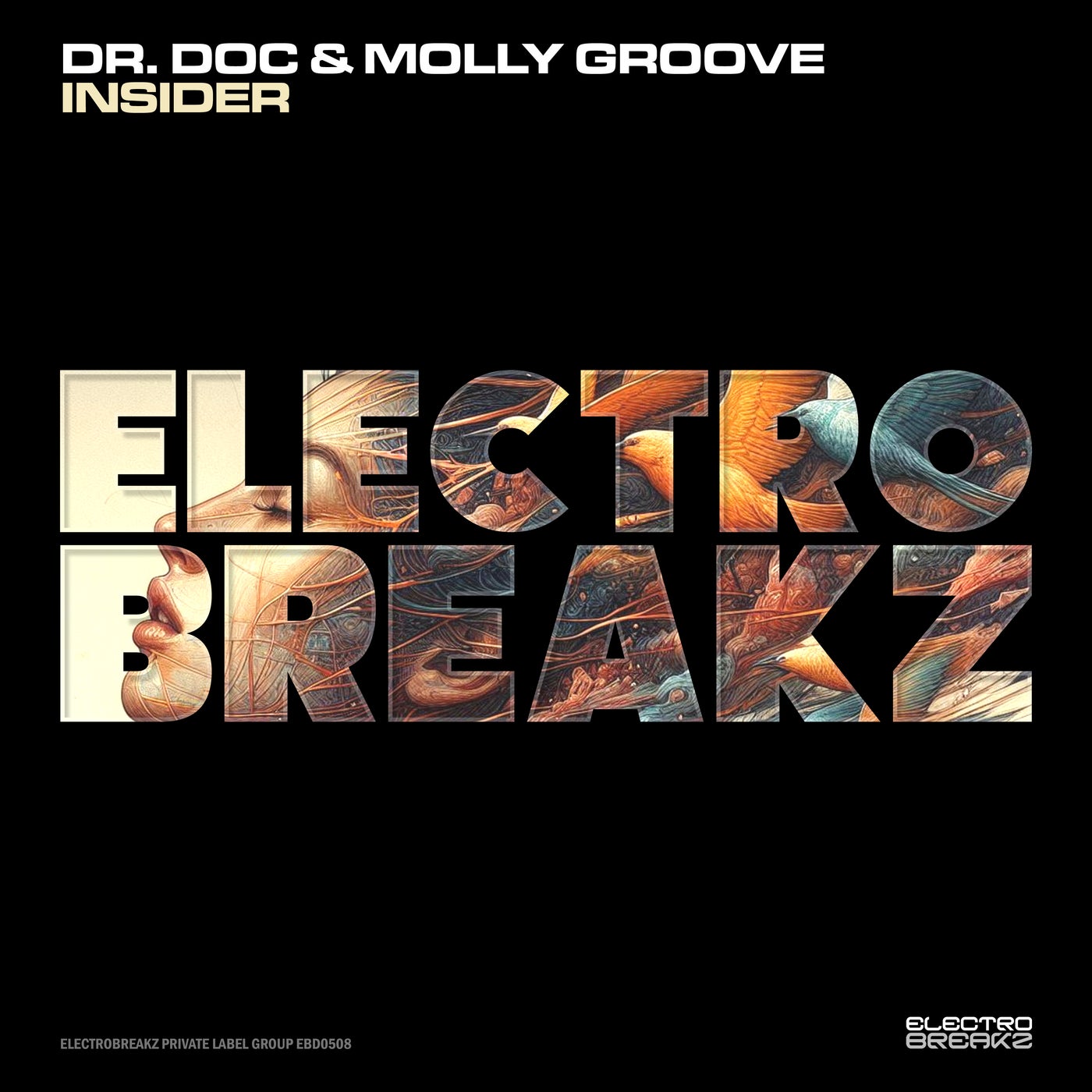 Cover - Dr. Doc, Molly Groove - Insider (Original Mix) Promo tools