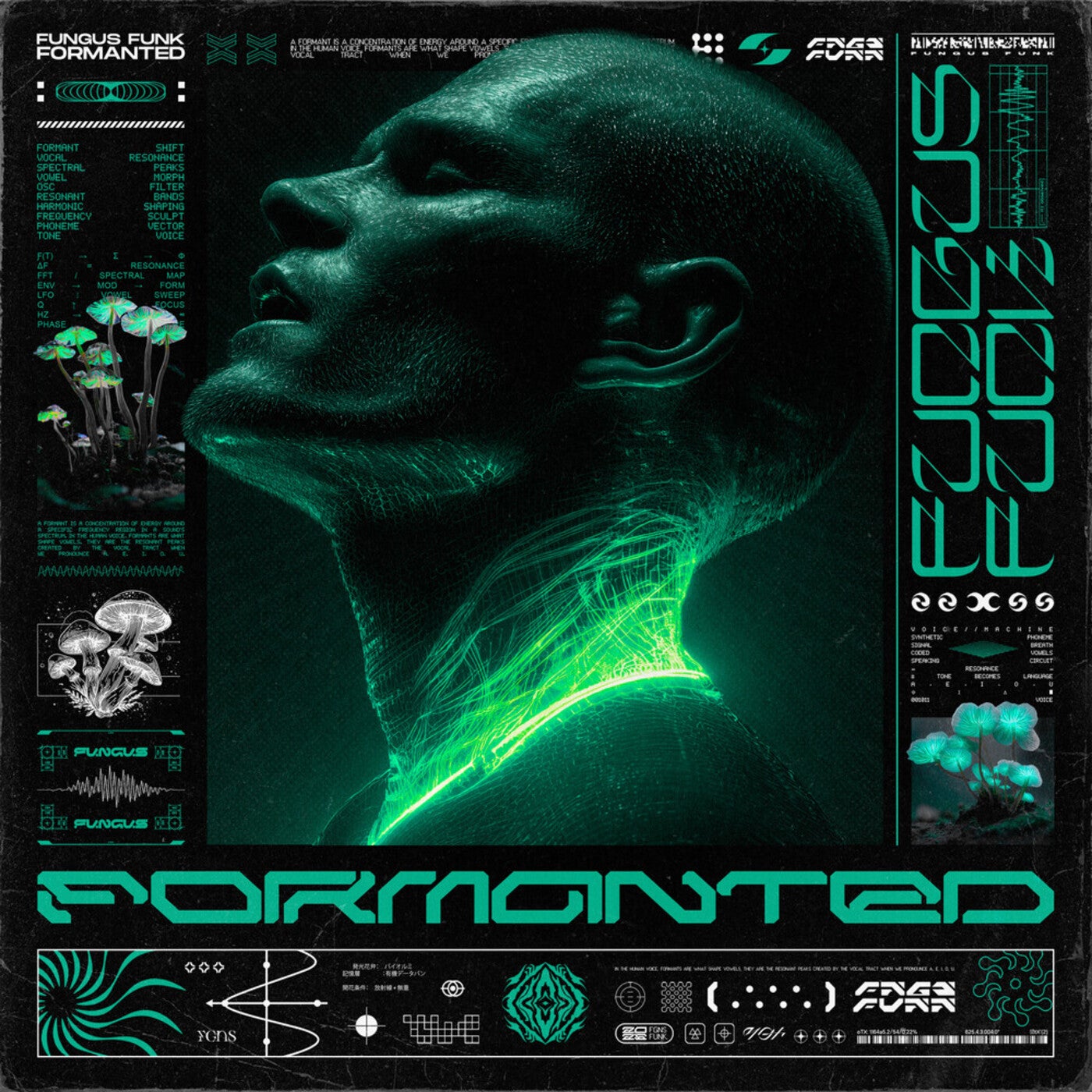 Cover - Fungus Funk - Eternal Light (Original Mix) Promo tools