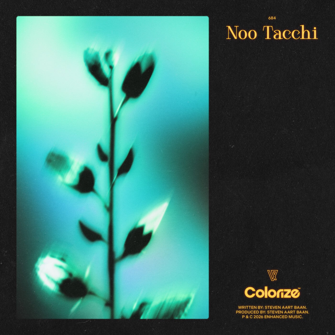 Cover - Estiva - Noo Tacchi (Extended Mix) Promo tools