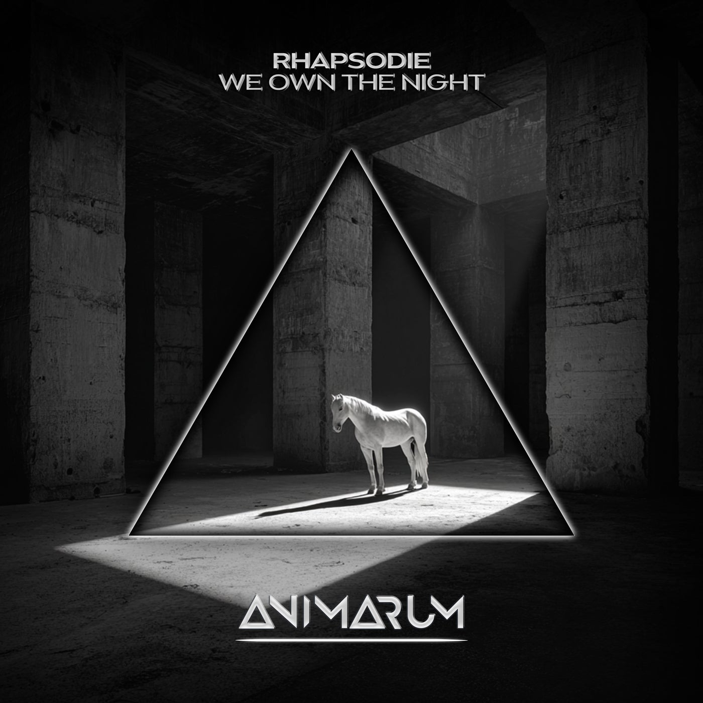 Cover - RHAPSODIE - We Own the Night (Extended Mix) Promo tools