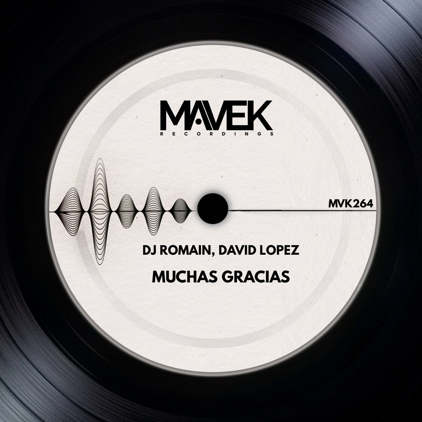 Cover - DJ Romain, David Lopez NYC - Muchas Gracias (Original Mix) Promo tools