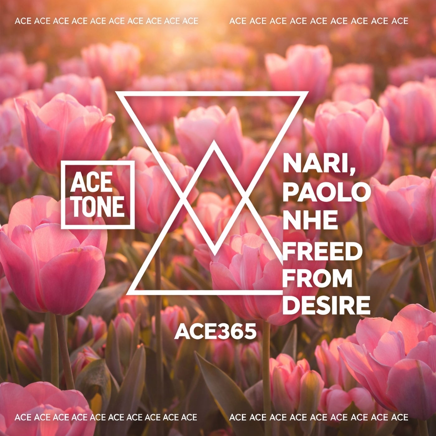 Cover - Nari, Paolo nhe - Freed From Desire (Original Mix) Promo tools