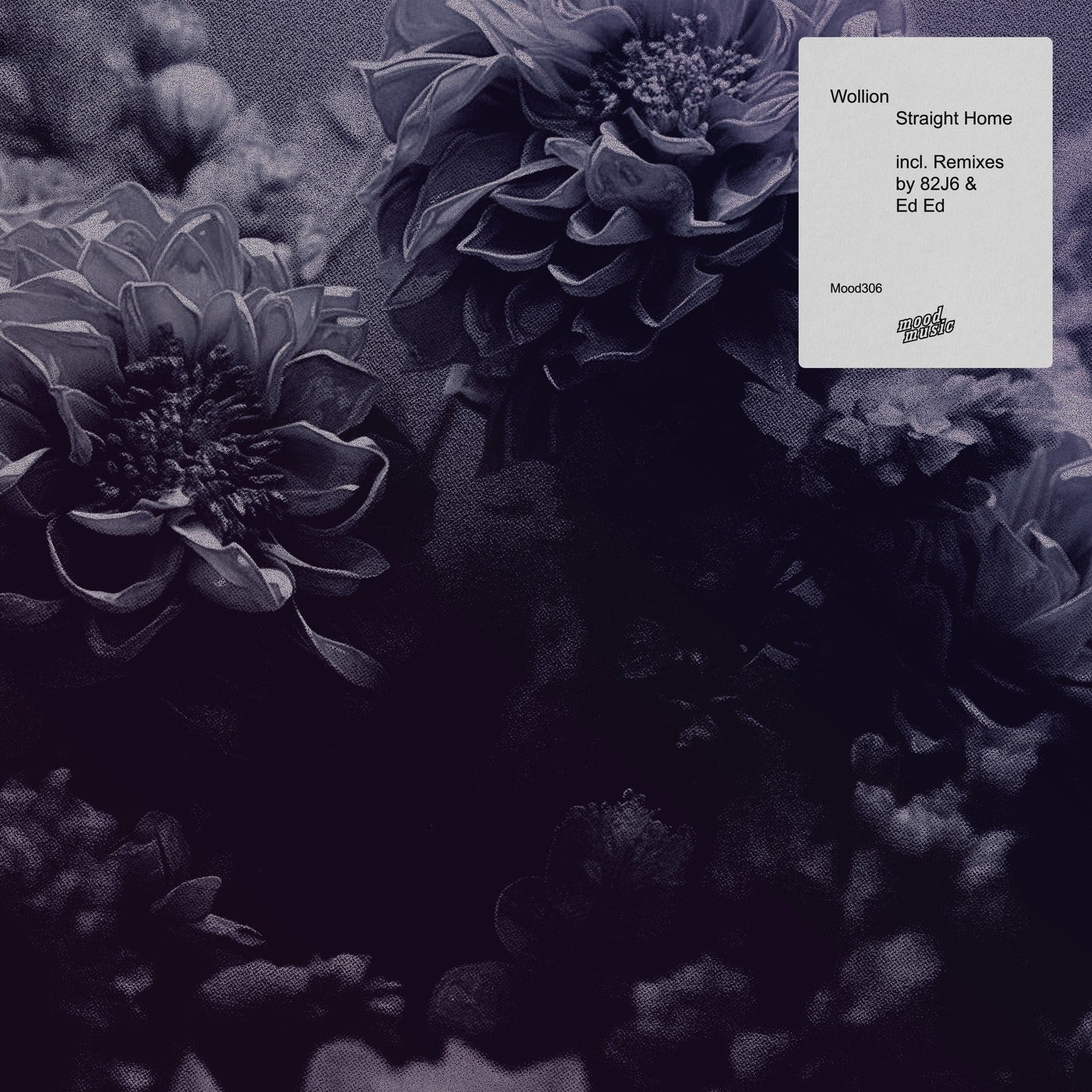 Cover - Wollion - Home (82J6 Remix) Promo tools