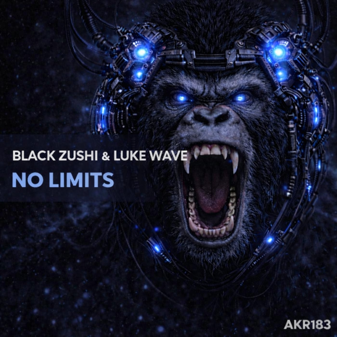 Cover - Luke Wave, Black Zushi - No Limits (Original Mix) Promo tools