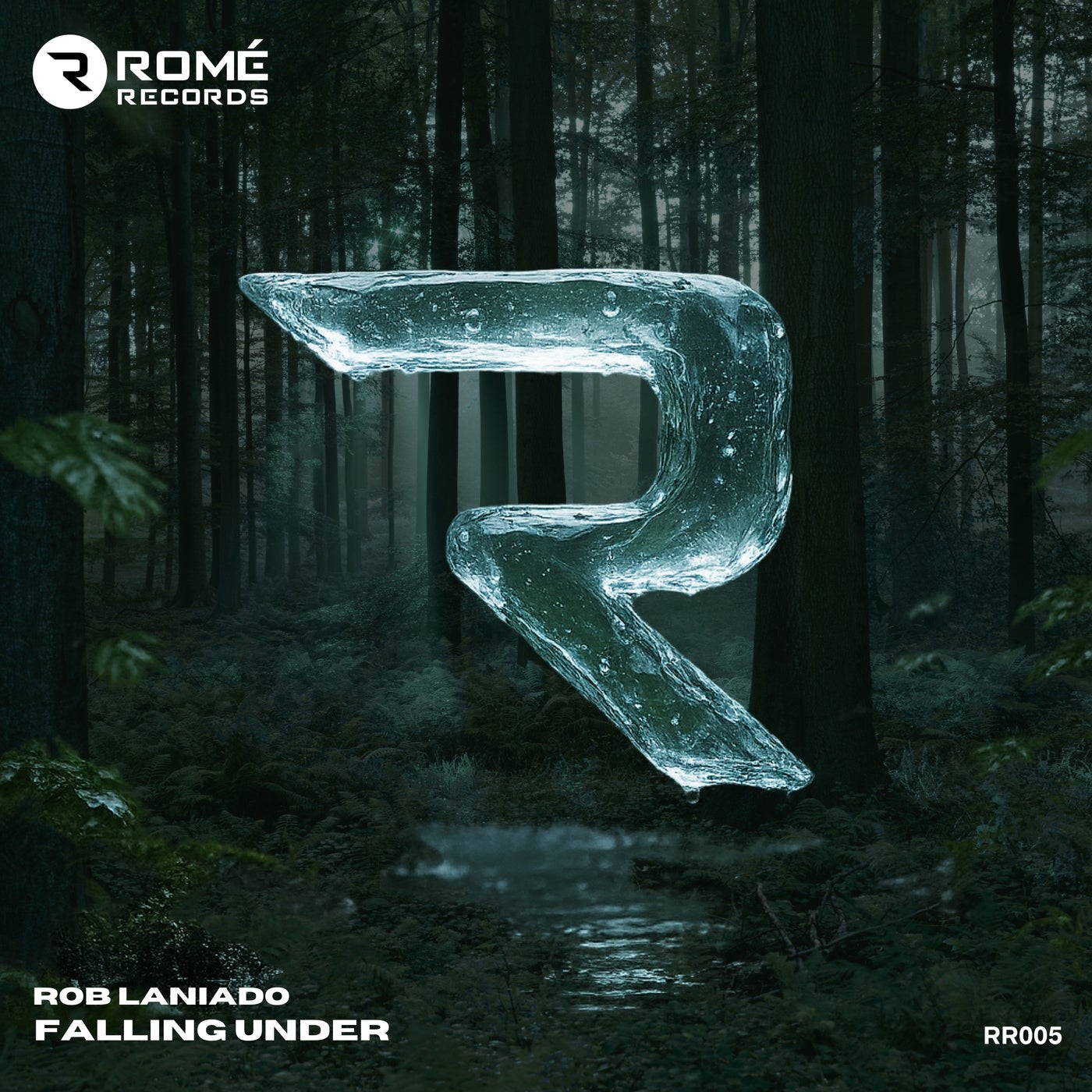 Cover - Rob Laniado - Falling Under (Extended Mix) Promo tools