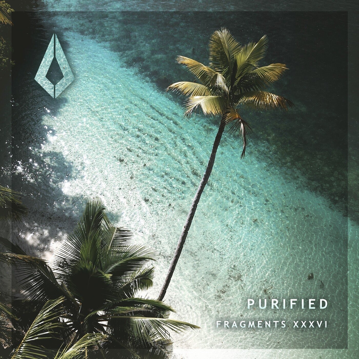 Cover - Luke Coulson, Kadhim - Show Me (Extended Mix) Promo tools