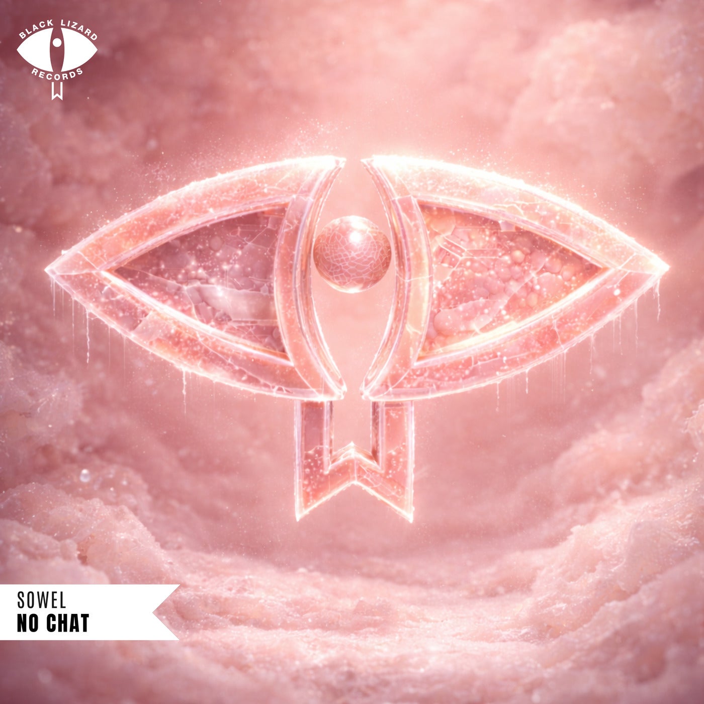 Cover - Sowel - No Chat (Original Mix) Promo tools