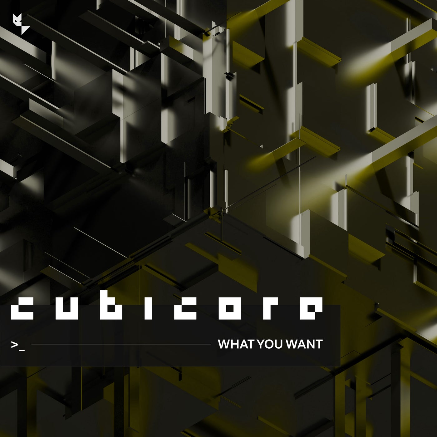 Cover - Cubicore - What You Want (Extended Version) Promo tools