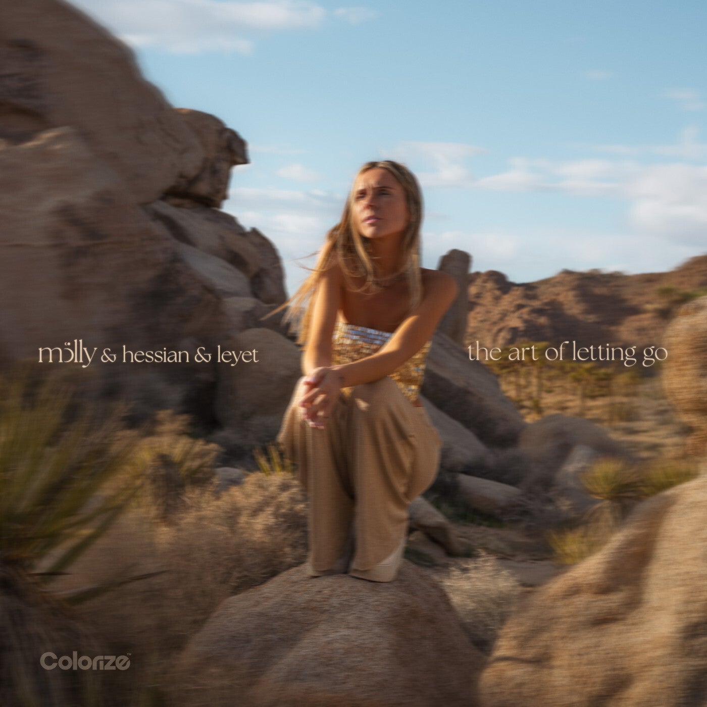Cover - LeyeT, Hessian, mölly (USA) - the art of letting go (Extended Mix) Promo tools