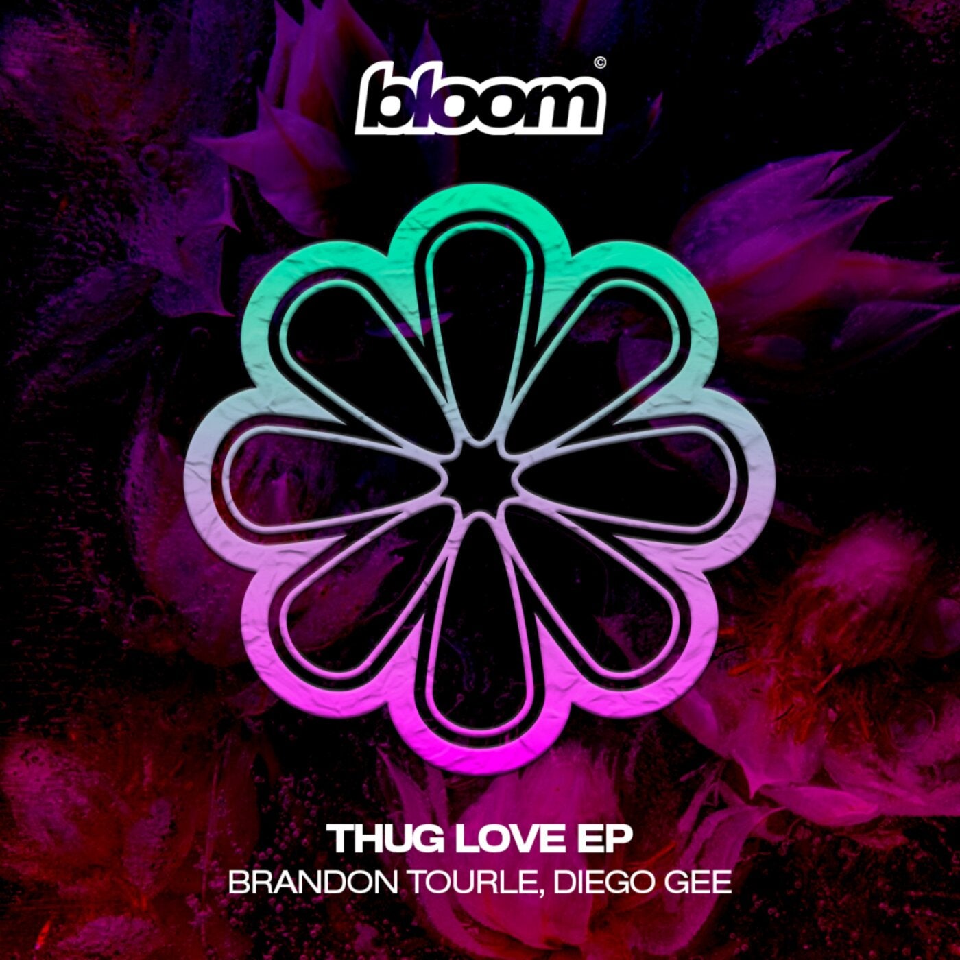 Cover - Brandon Tourle, Diego Gee (UK) - Talk Like That (Original Mix) Promo tools