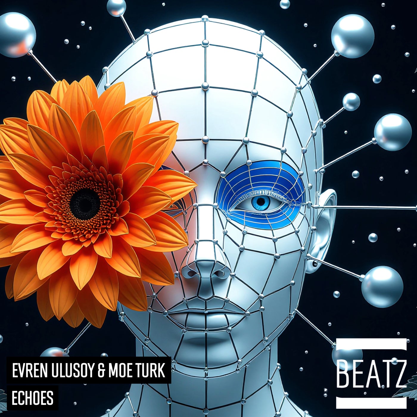 Cover - Evren Ulusoy, Moe Turk - Echoes (Original Mix) Promo tools
