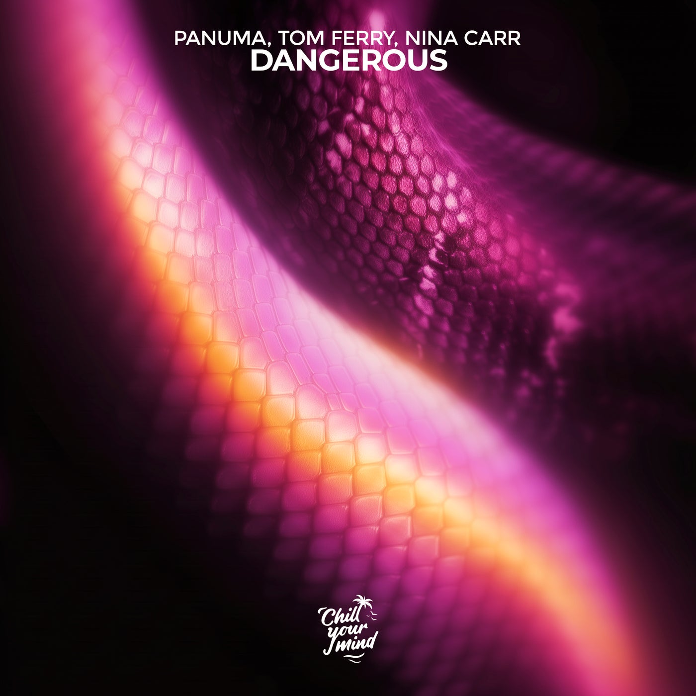 Cover - Tom Ferry, Nina Carr, Panuma - Dangerous (Original Mix) Promo tools