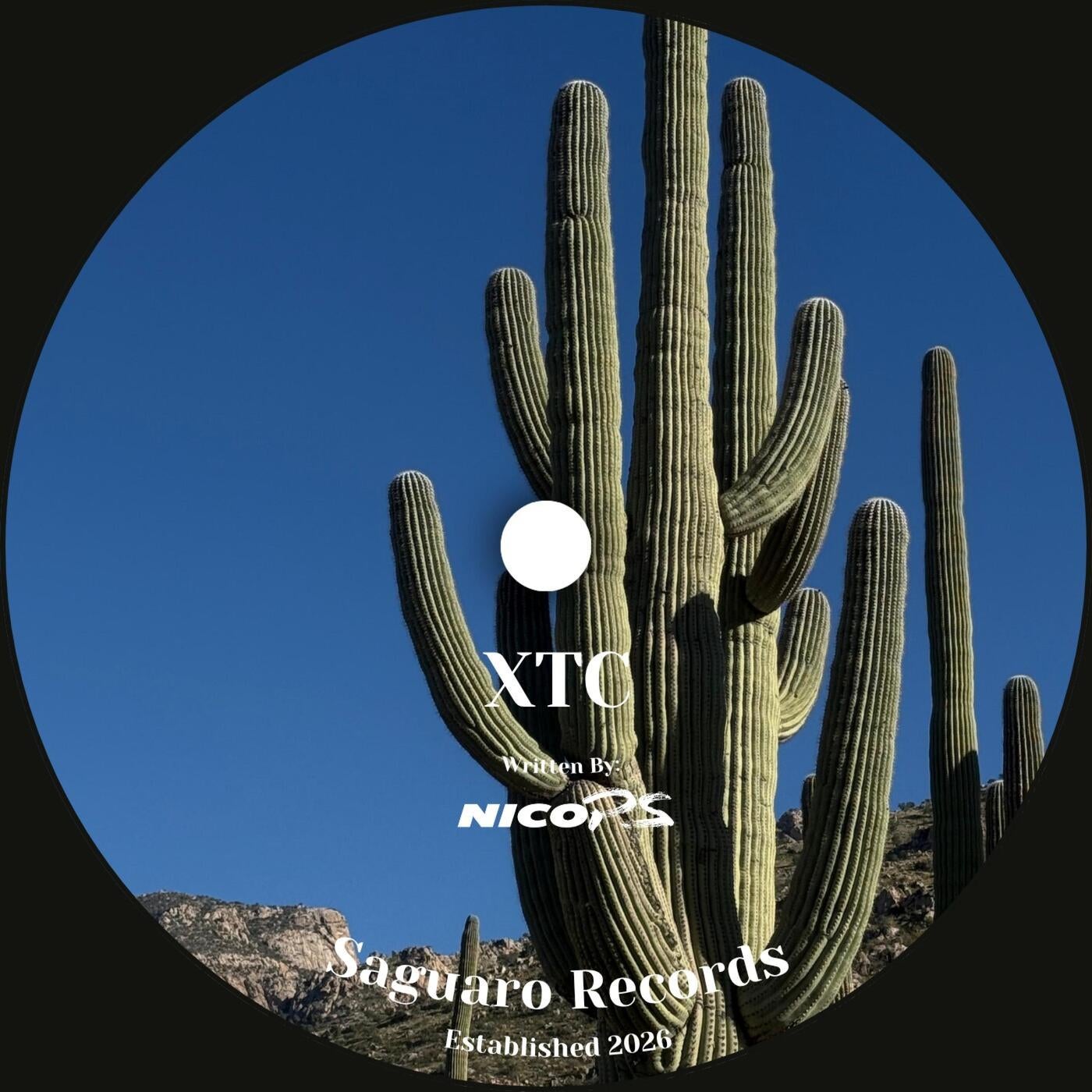 Cover - Nico PS - XTC (Original Mix) Promo tools