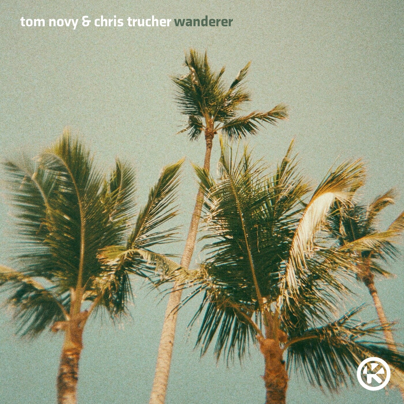 Cover - Tom Novy, Chris Trucher - Wanderer (Extended Mix) Promo tools