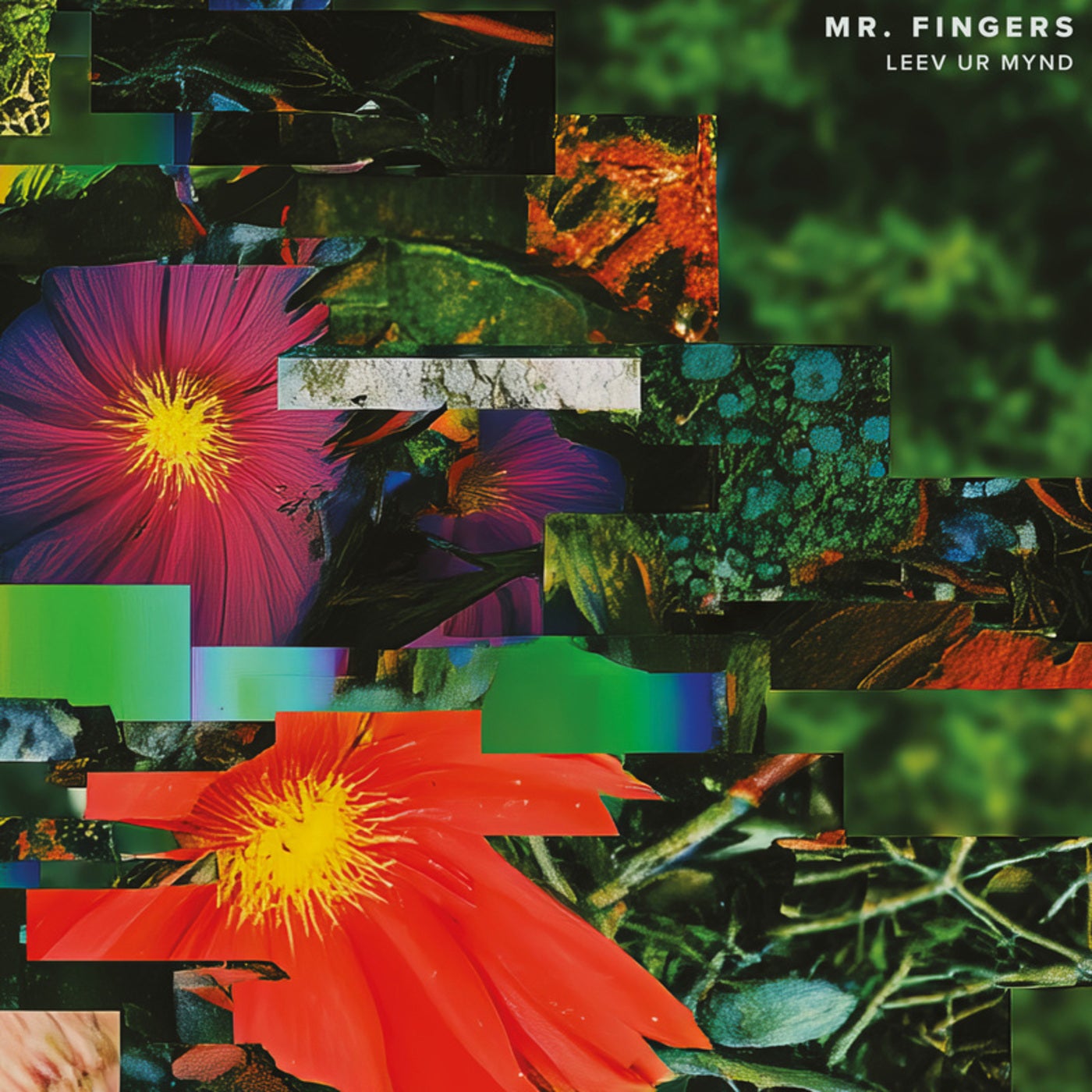 Cover - Mr. Fingers - The Happening Thing (Original Mix) Promo tools
