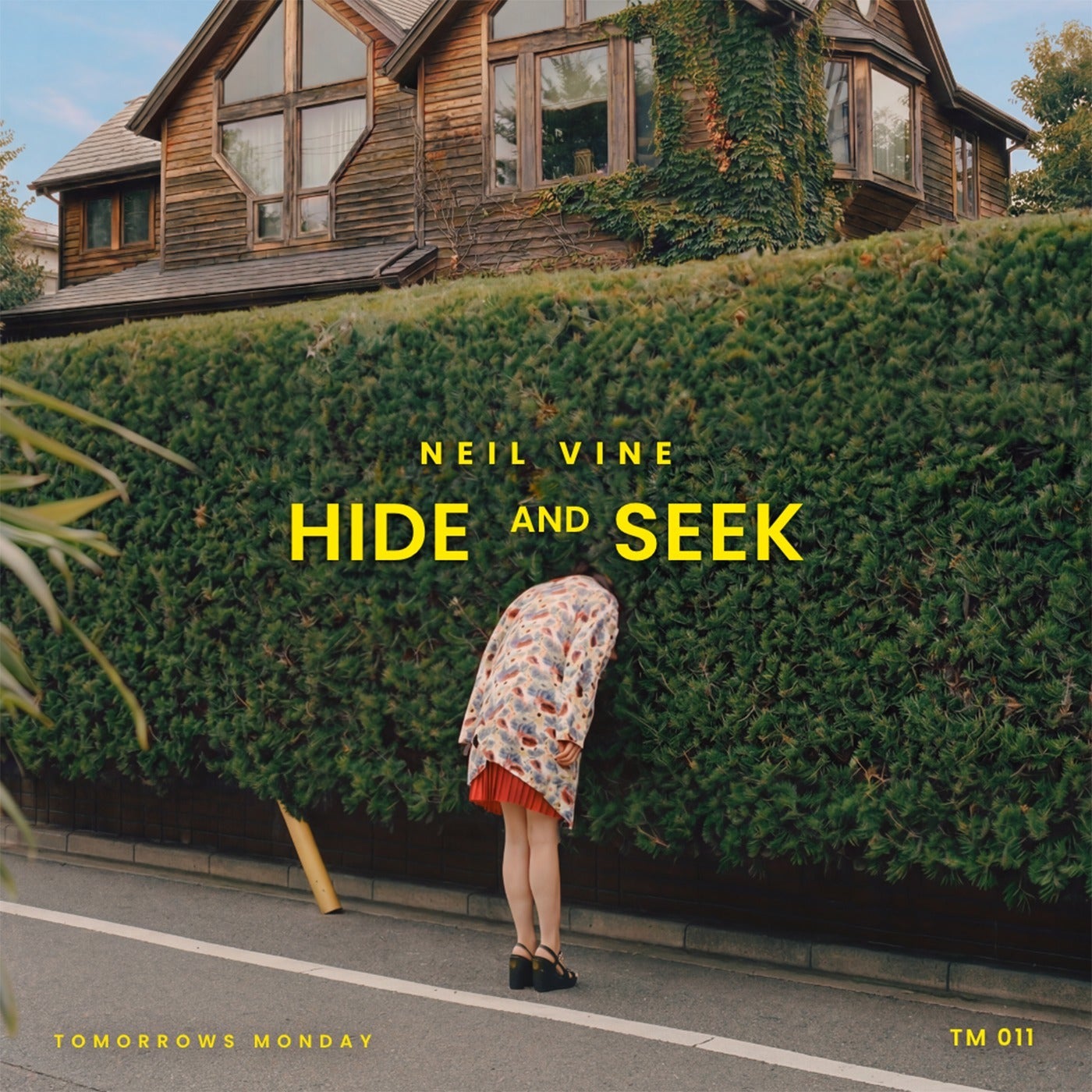 Cover - Neil Vine - Hide and Seek (Original Mix) Promo tools