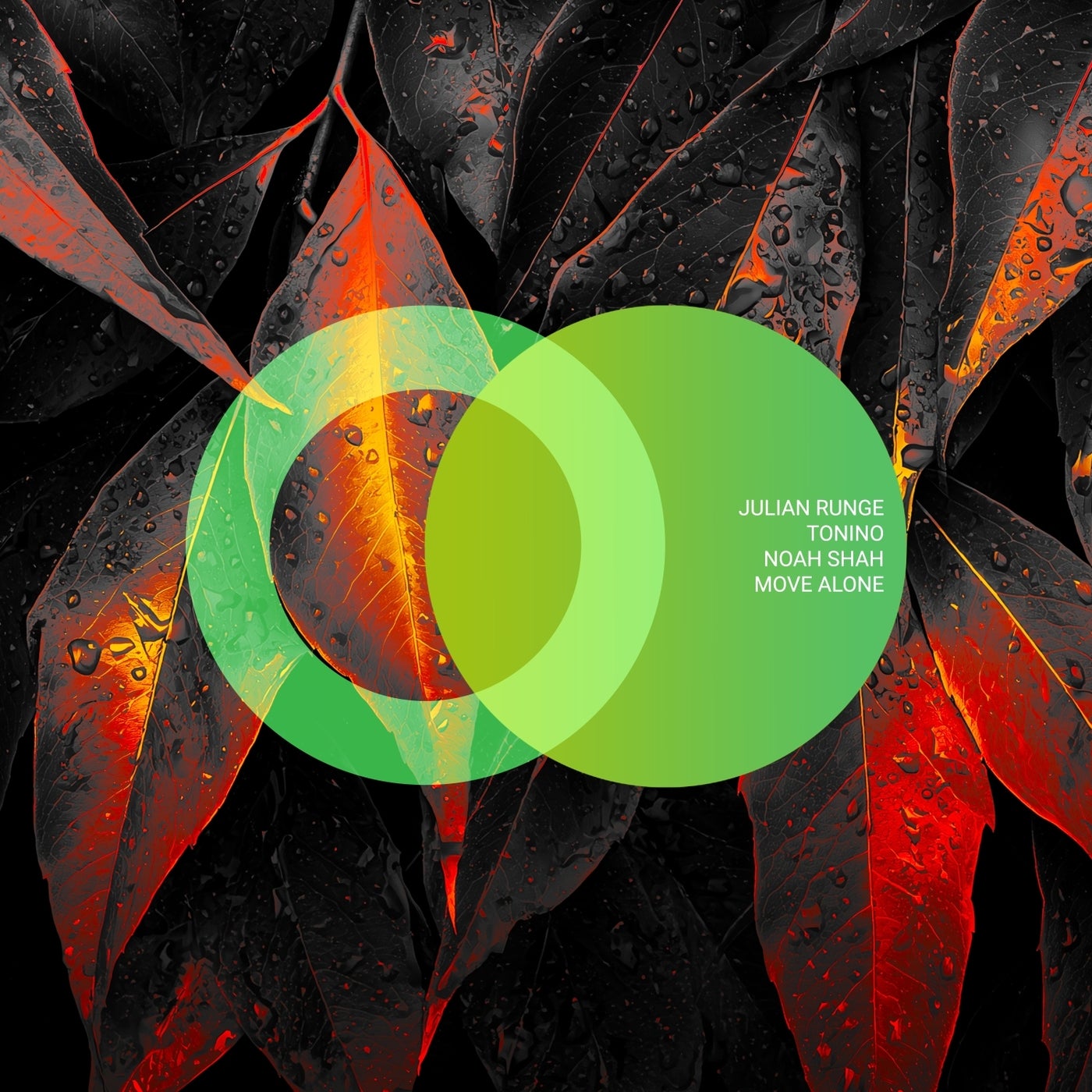 Cover - Tonino, Noah Shah, Julian Runge - Move Alone (Original Mix) Promo tools