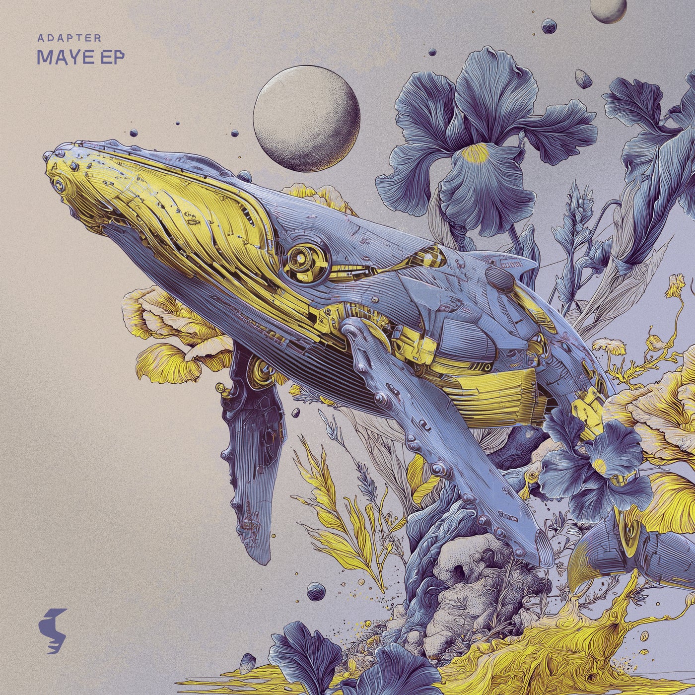 Cover - Adapter - Nakupenda (Extended Mix) Promo tools